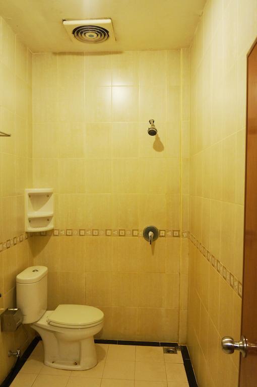 Feodora Airport Hotel Palembang Værelse billede